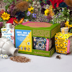 Kabloom - Birds, Bees & Butterflies Gift Box
