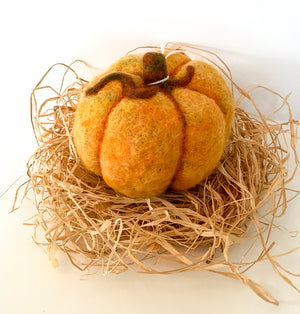 Pumpkins & Squashes by Caroline Burn