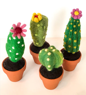 Cactuses (Cacti?) by Caroline Burn