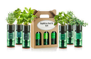 Hydro-herb Kits