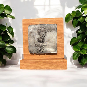 Hand-cast Real Thistle Plaque on Solid Oak (Small) - Choice of 3 finishes