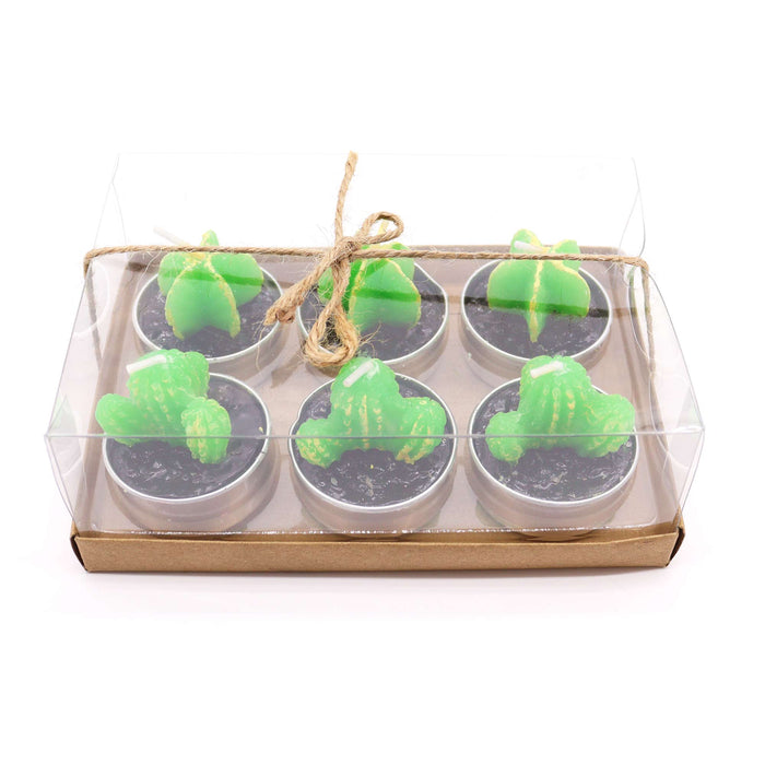 Set of 6 Monks Cactus Tealights