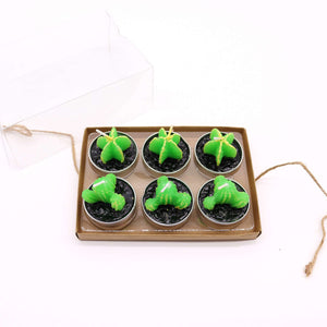 Set of 6 Monks Cactus Tealights