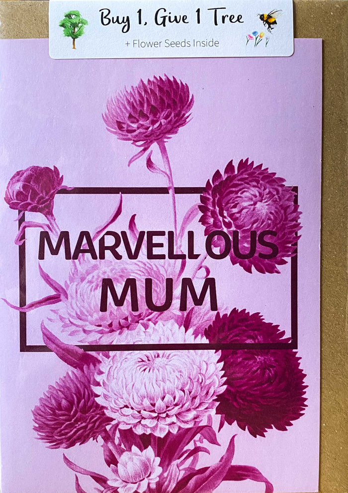 Bloom - Marvellous Mum