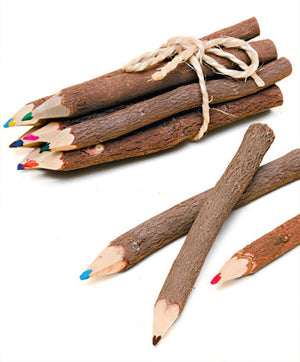 Tamarind Twig Coloured Pencils