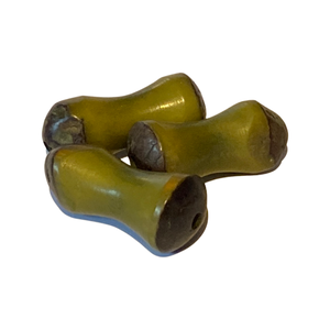 Tagua Nut Bone Beads