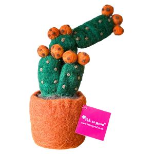 Fabulous Felt Cactus - Prickly Pear