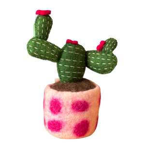 Fabulous Felt Cactus - Opuntia