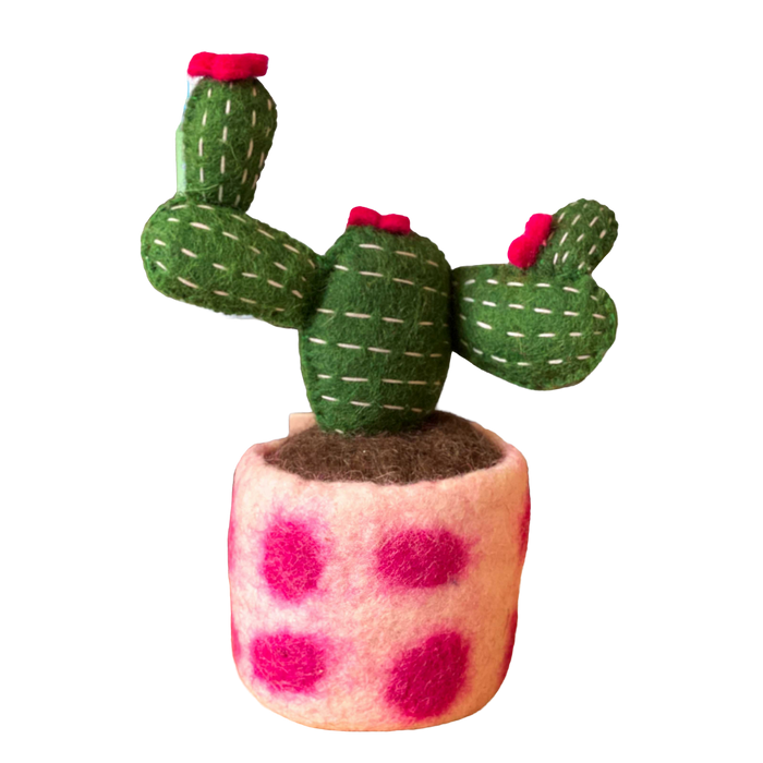 Fabulous Felt Cactus - Opuntia