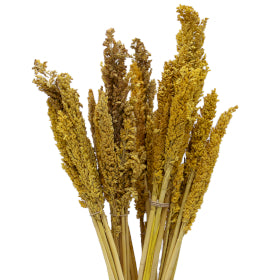 Cantal Grass Bunch - Choice of 5 Colours