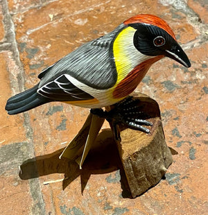 Hand-carved and Painted Bird on Wooden Stand - Choice of 4 designs