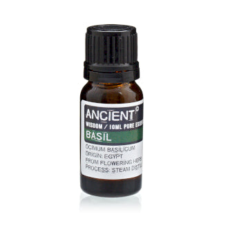 Ancient Wisdom Essential Oils - Basil