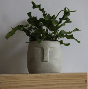Cement Face Planters - Choice of 3 colours