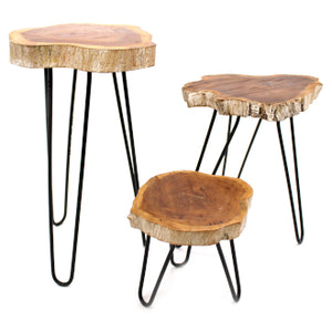 Gamal Wood Plant Stands - Choice of size and colour