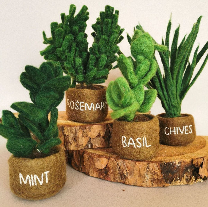 Fabulous Felt Mini Plants - Potted Herbs (Choice of 4 Designs)