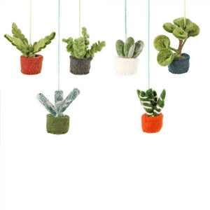 Hanging Mini Cacti - Set of 6