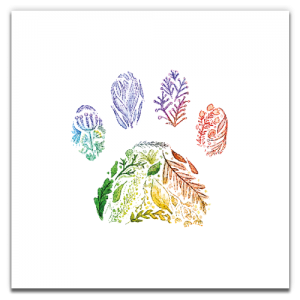 Rainbow Bear Paw Card
