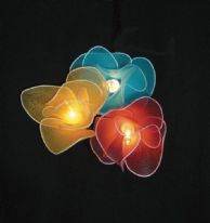 Multi-coloured Flower Fairy Lights